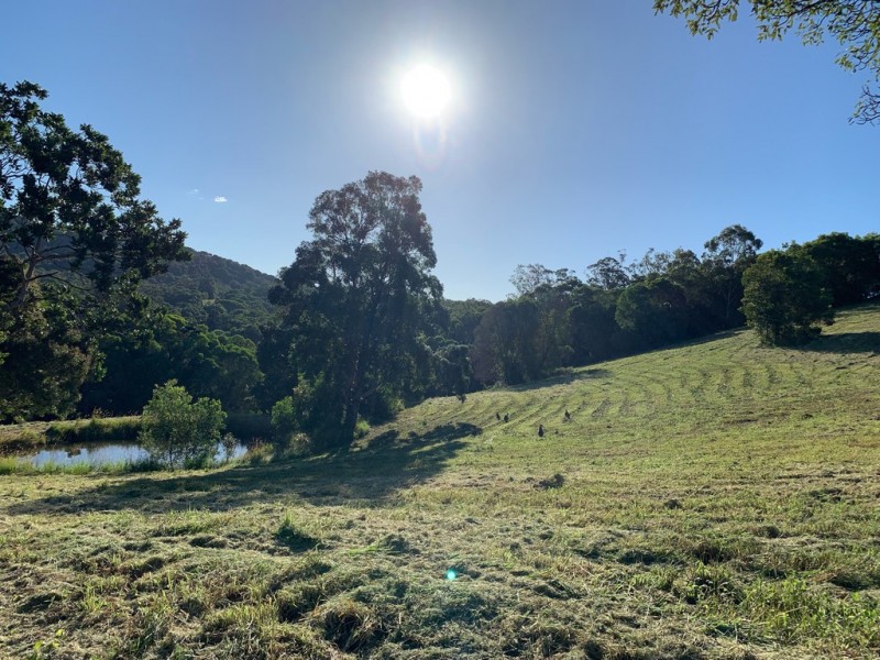 83 Coachwood Terrace, Black Mountain QLD 4563