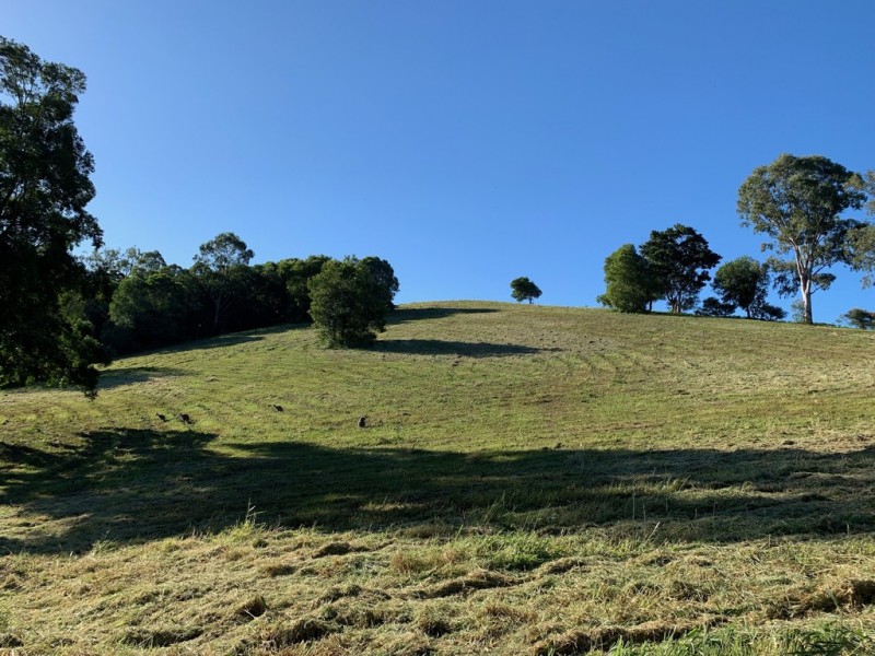 83 Coachwood Terrace, Black Mountain QLD 4563