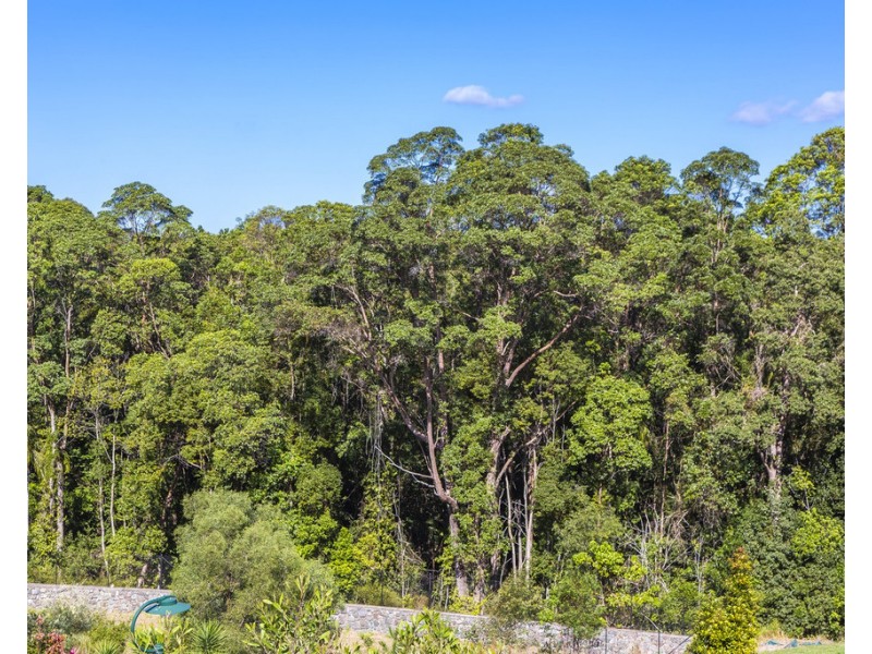 25 Brushbox Place, Eumundi QLD 4562