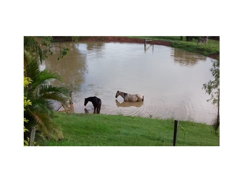 175 Poulsen Road, Carters Ridge QLD 4563