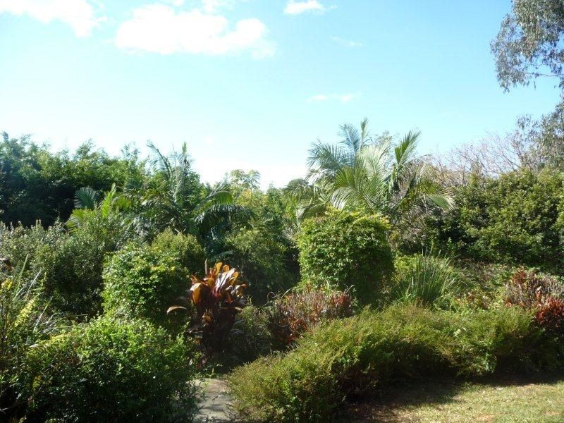 31 Northmount Road, Federal QLD 4568