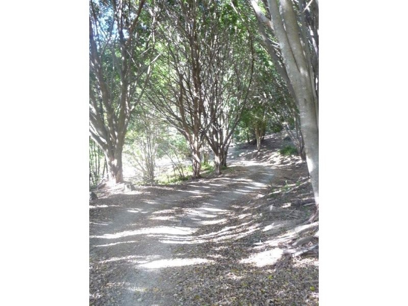 31 Northmount Road, Federal QLD 4568