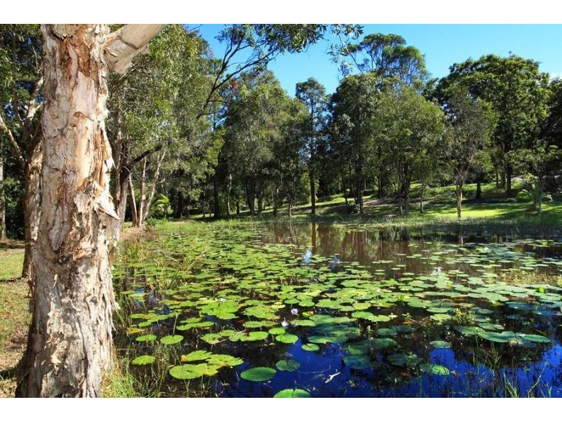 37 Redwood Road, Doonan QLD 4562