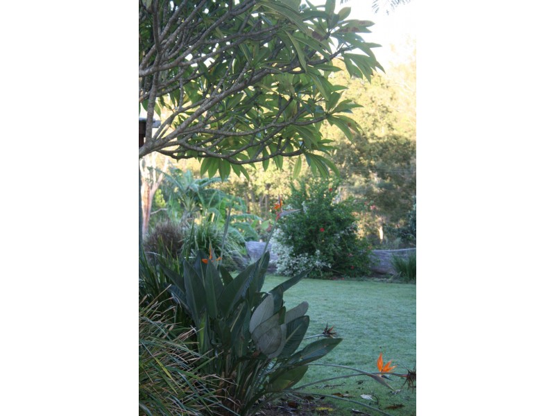 279 Poulsen Road, Carters Ridge QLD 4563