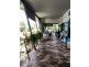 Cooroy QLD 4563