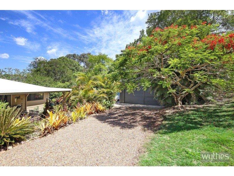 1 Springfield Circle, Cooroy QLD 4563