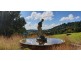 Black Mountain QLD 4563