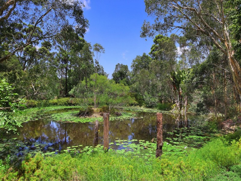 666 Eumundi Noosa Road, Doonan QLD 4562