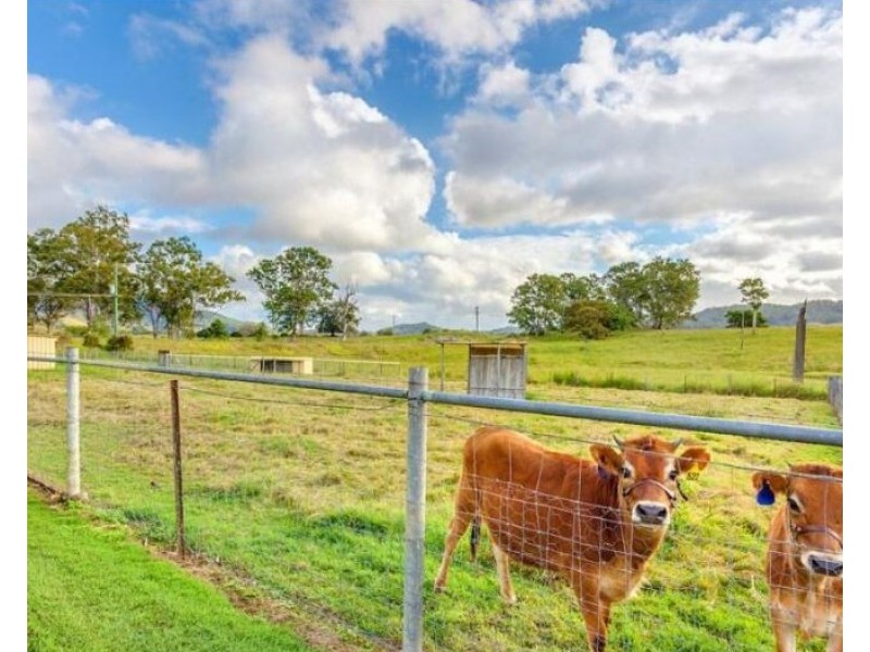 268 Eumundi Kenilworth Road, Eerwah Vale QLD 4562