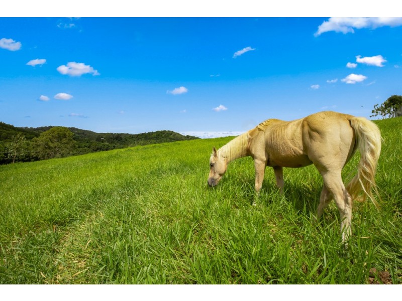 1055 Pomona Kin Kin Road, Kin Kin QLD 4571