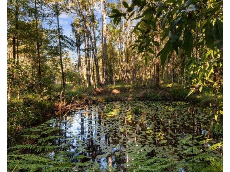 45 Stewart Court, Doonan QLD 4562