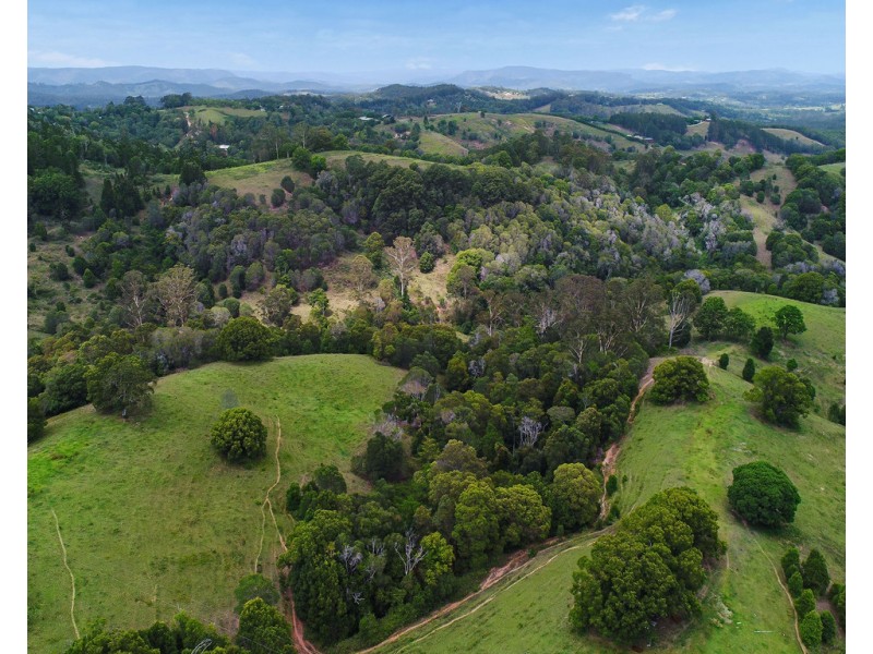 437 Black Mountain Road, Black Mountain QLD 4563