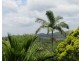 1 Finley Road, Eumundi QLD 4562