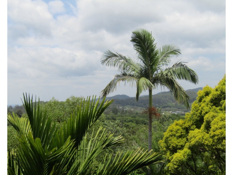 1 Finley Road, Eumundi QLD 4562