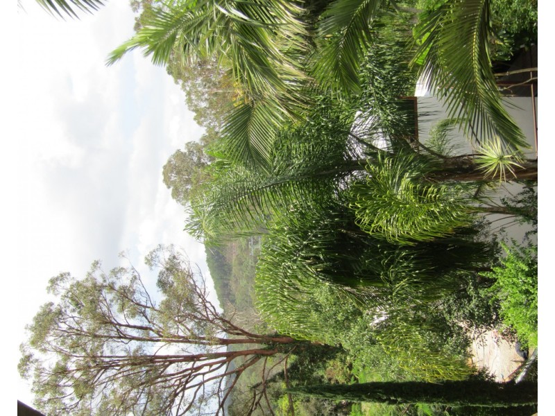 1 Finley Road, Eumundi QLD 4562