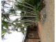 1 Finley Road, Eumundi QLD 4562