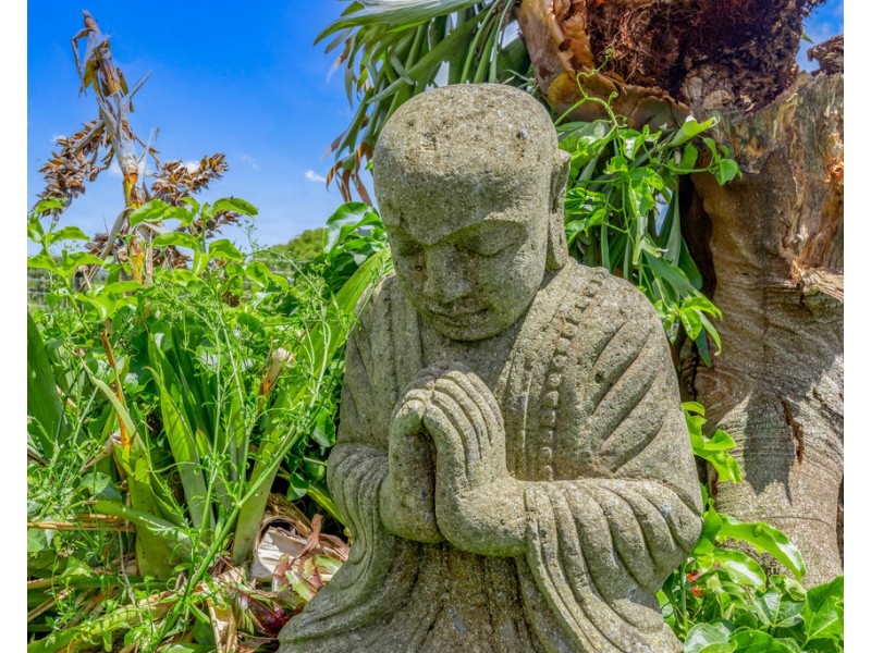 226 Ocean View Road, Cooroy QLD 4563