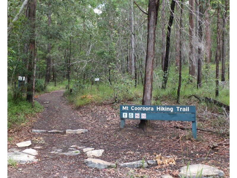 Lot 5/23 Church Street, Pomona QLD 4568