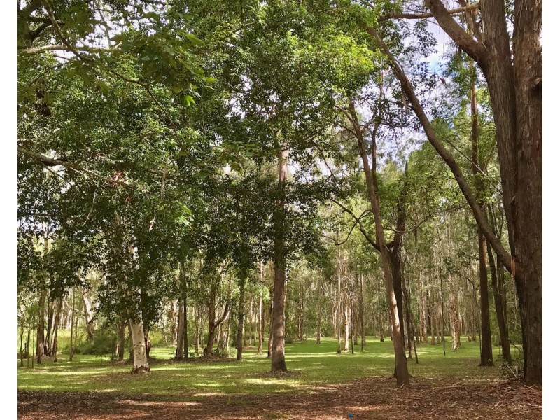 213 Grays Road, Doonan QLD 4562