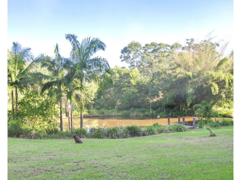 99 Black Pinch Road, Pomona QLD 4568