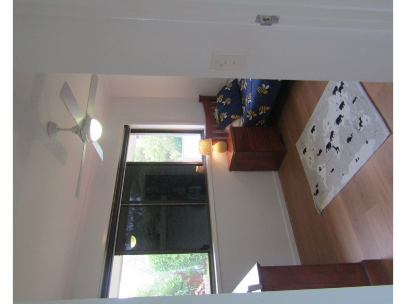 41 Foedera Crescent, Tewantin QLD 4565