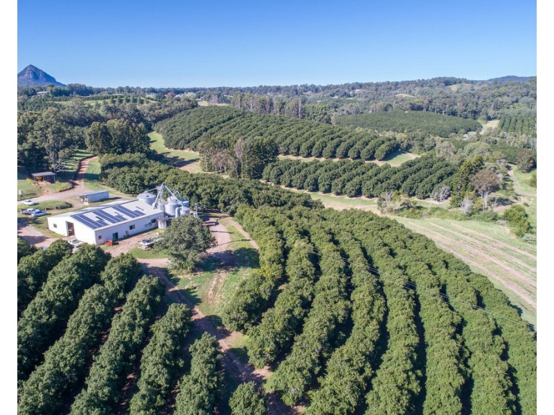 904 Greenridge Pinbarren Road, Cooran QLD 4569