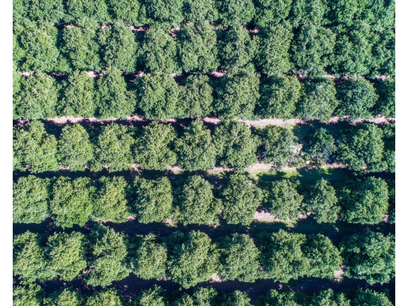 904 Greenridge Pinbarren Road, Cooran QLD 4569