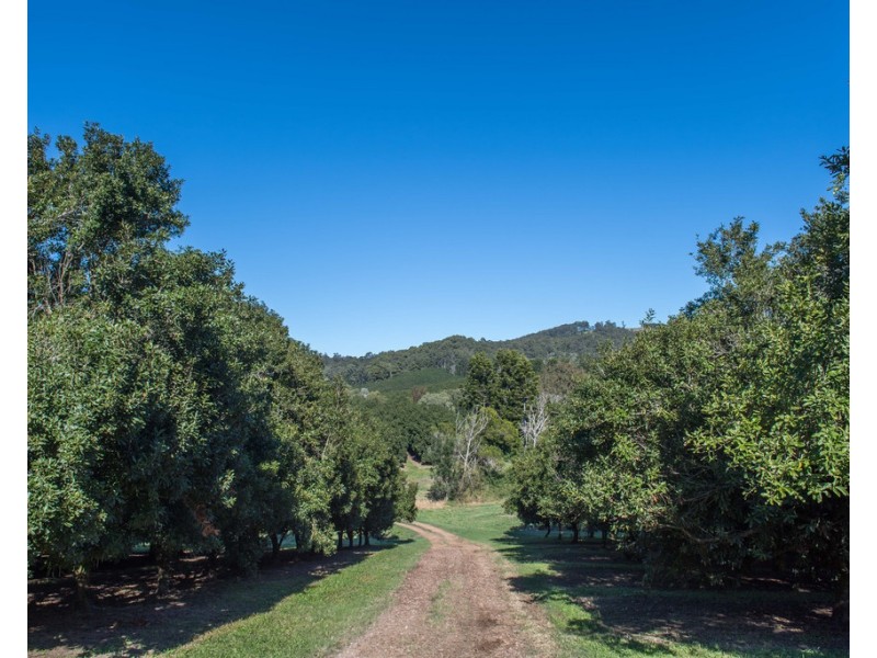 904 Greenridge Pinbarren Road, Cooran QLD 4569