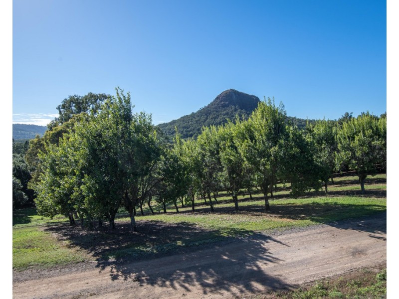 904 Greenridge Pinbarren Road, Cooran QLD 4569