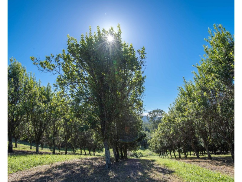 904 Greenridge Pinbarren Road, Cooran QLD 4569