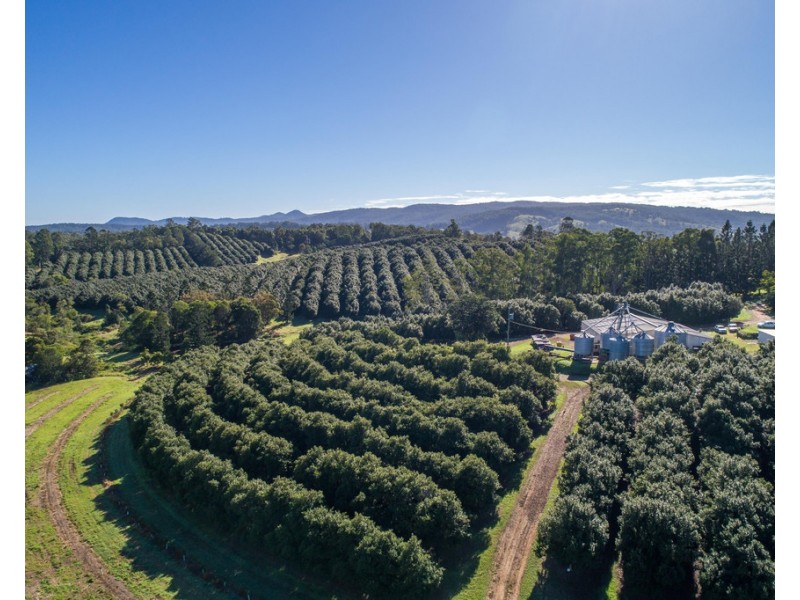 904 Greenridge Pinbarren Road, Cooran QLD 4569