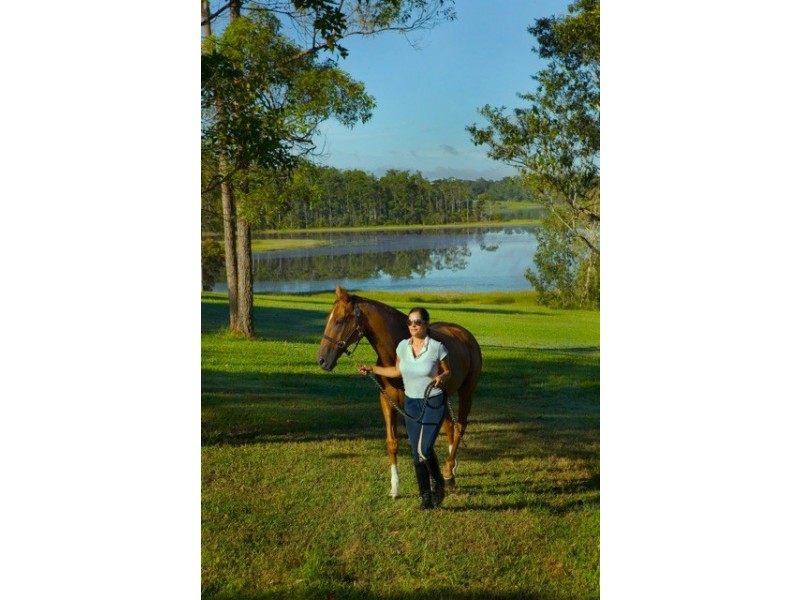 140 Collwood Rd, Cooroy QLD 4563