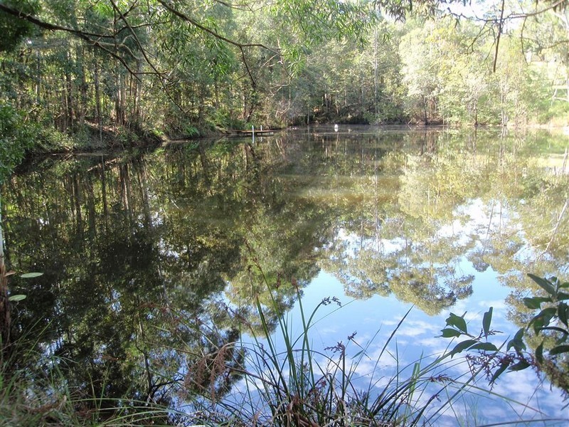 135 Forest Acres Drive, Cooroy QLD 4563
