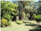 135 Forest Acres Drive, Cooroy QLD 4563