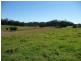 285-325 Eumundi Range Road, Eumundi QLD 4562