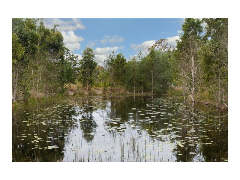 360 McKinnon Drive, Tewantin QLD 4565