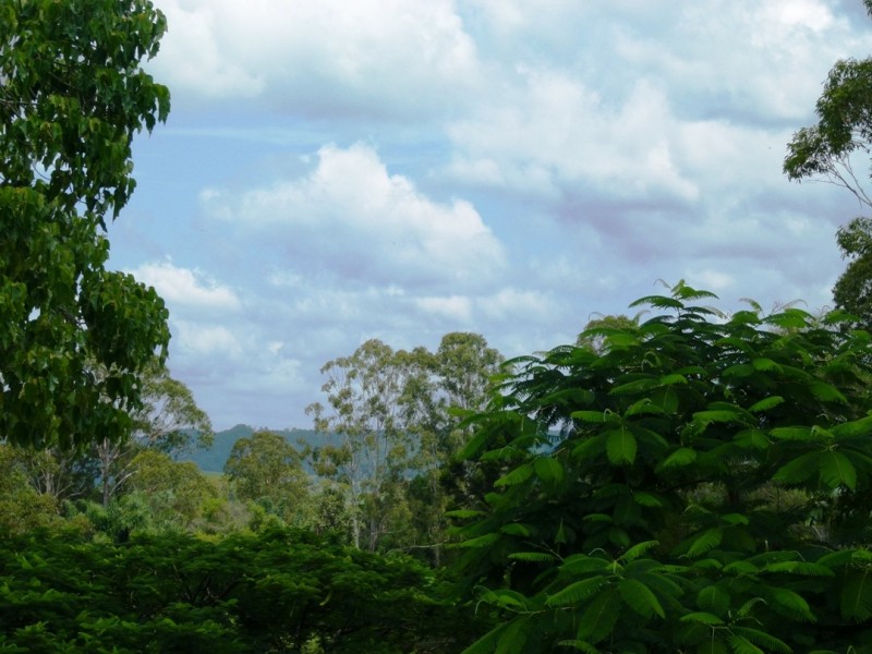 19 Dierdre Drive, Eumundi QLD 4562