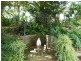 19 Dierdre Drive, Eumundi QLD 4562