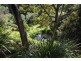 207 Musa Vale Road, Cooroy QLD 4563