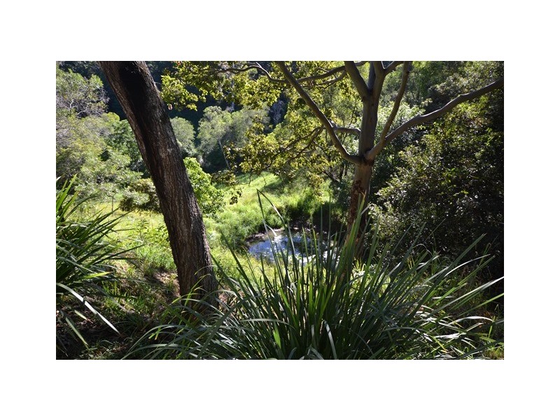 207 Musa Vale Road, Cooroy QLD 4563