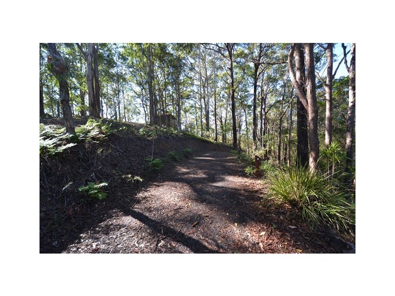 207 Musa Vale Road, Cooroy QLD 4563