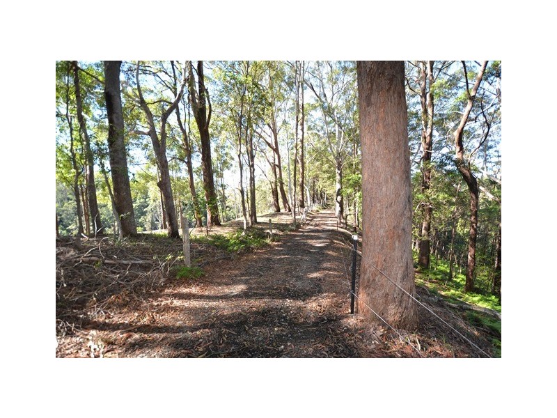 207 Musa Vale Road, Cooroy QLD 4563