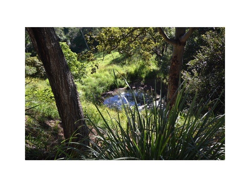 207 Musa Vale Road, Cooroy QLD 4563