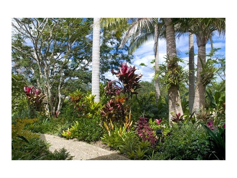 1 Falcon Cres, Cooroy QLD 4563