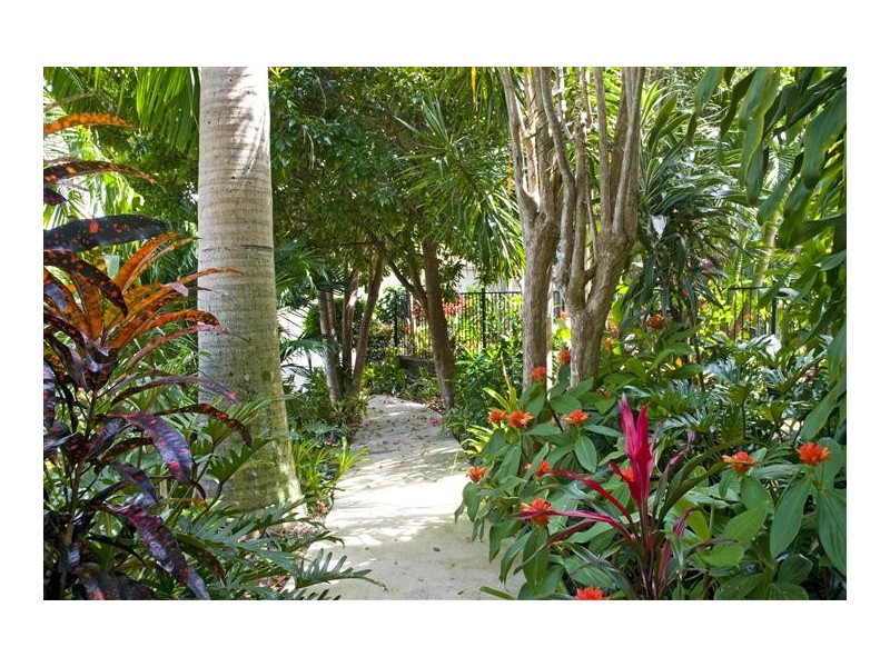 1 Falcon Cres, Cooroy QLD 4563