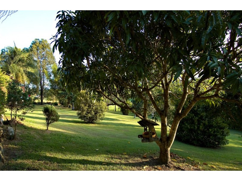 13 Finley Road, Eumundi QLD 4562