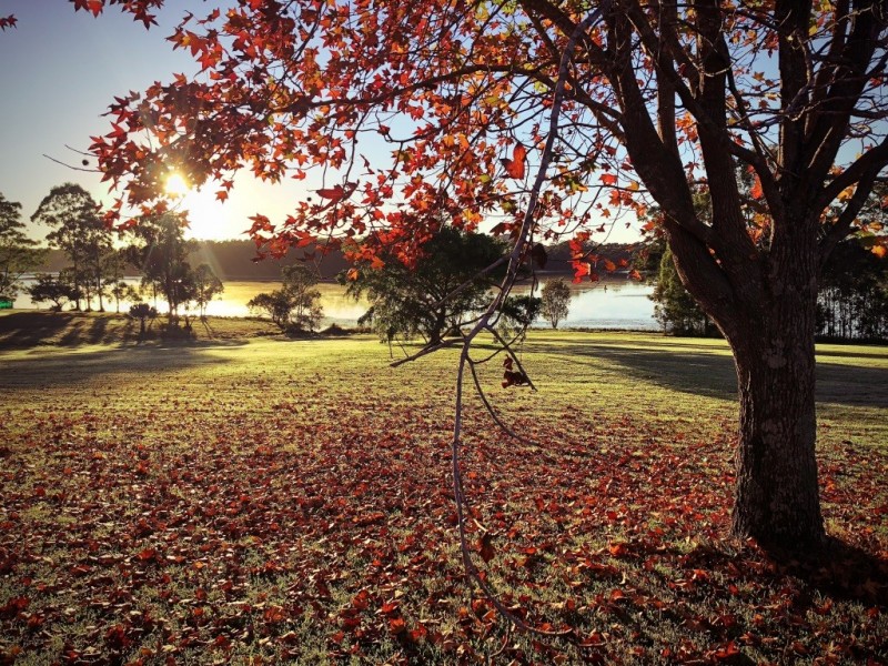 290-330 Lake MacDonald Drive, Lake Macdonald QLD 4563