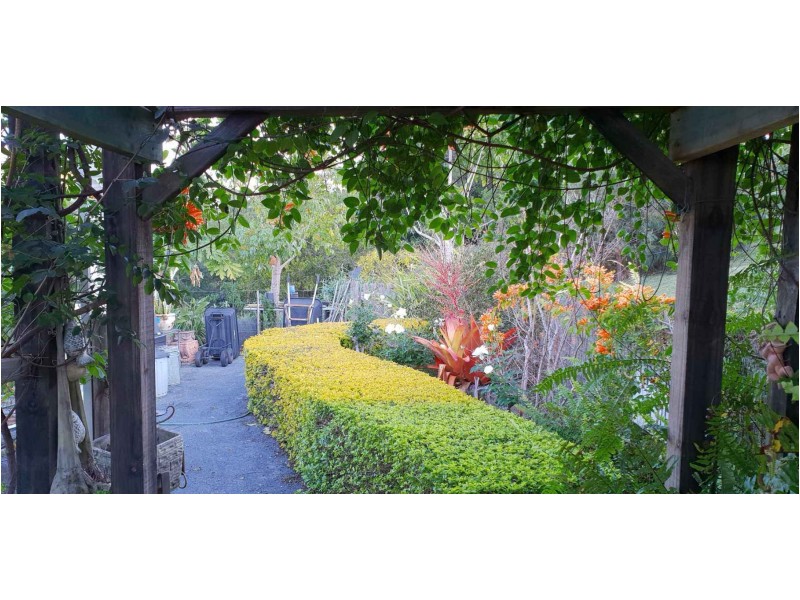 19 Lorikeet Lane, Cooroy QLD 4563