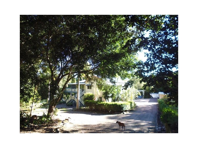 67 Belleden Place, Cooroy QLD 4563