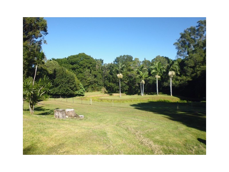 67 Belleden Place, Cooroy QLD 4563